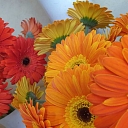 Flower bouquets